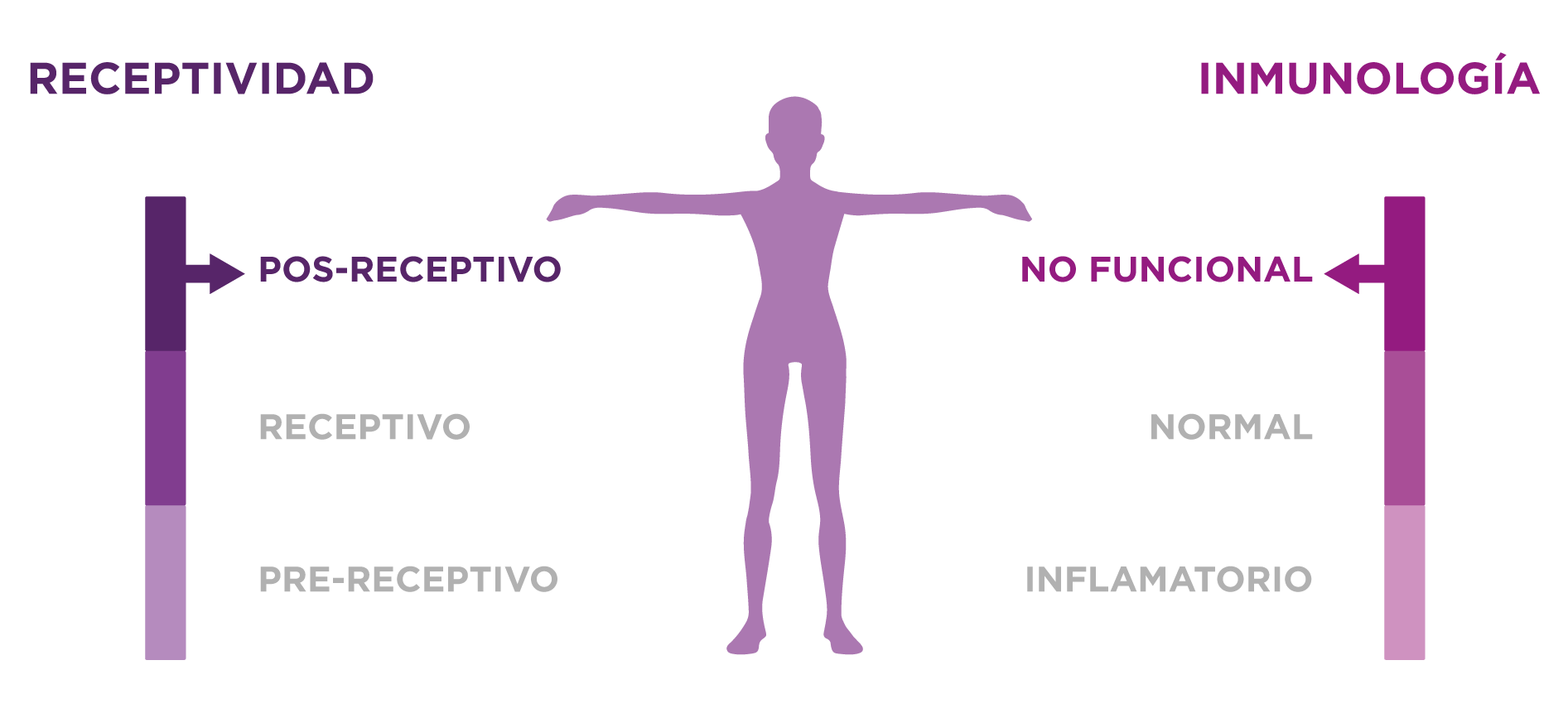 Ferti